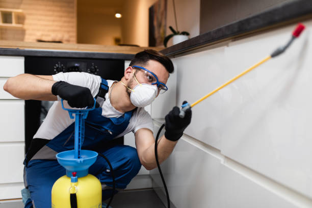 Best Emergency Pest Control  in Long Hill, CT