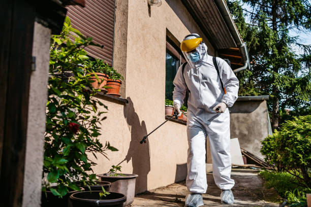 Best Rodent Control Near Me  in Long Hill, CT