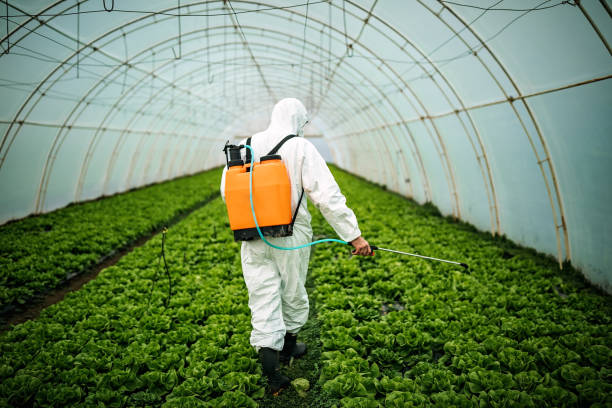Best Pest Removal Services  in Long Hill, CT