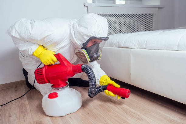 Best Ant Control Services  in Long Hill, CT