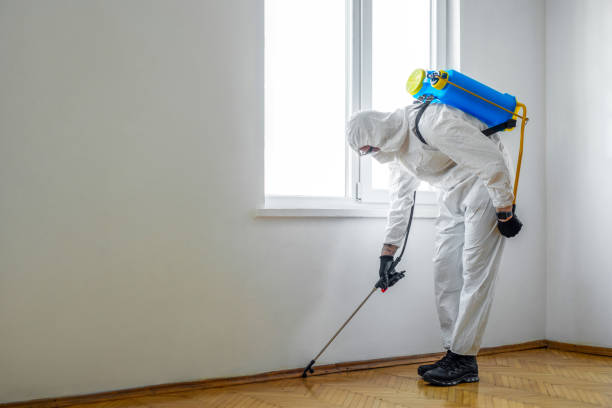 Best Pest Removal Services  in Long Hill, CT