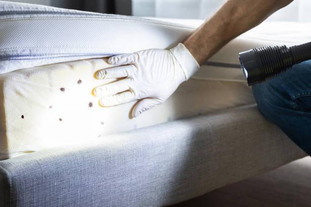 Best Pest Control Near Me  in Long Hill, CT