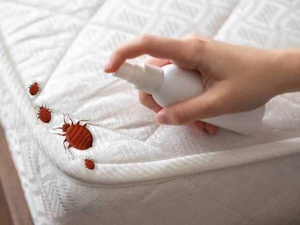  Long Hill, CT Pest Control Pros